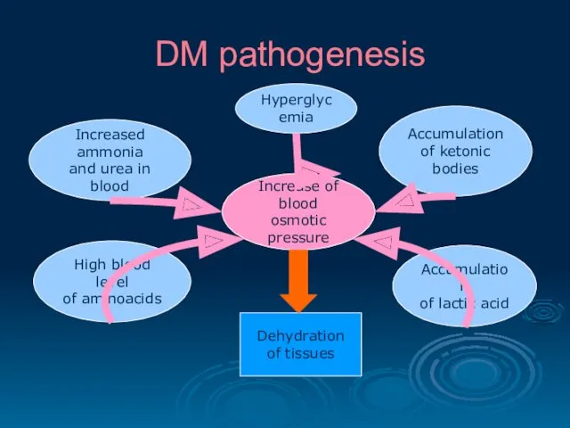 DM pathogenesis Accumulation of lactic acid High blood level of