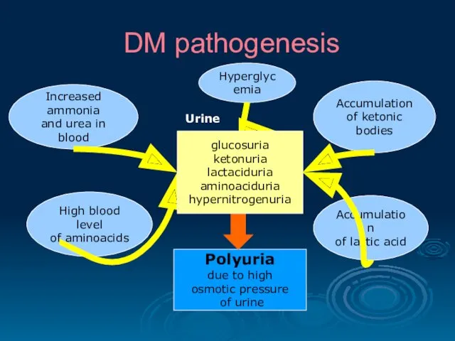 DM pathogenesis Accumulation of lactic acid High blood level of