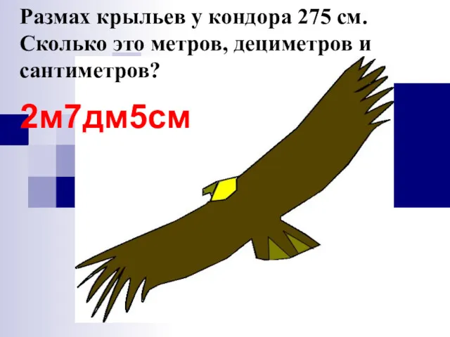 Размах крыльев у кондора 275 см. Сколько это метров, дециметров и сантиметров? 2м7дм5см