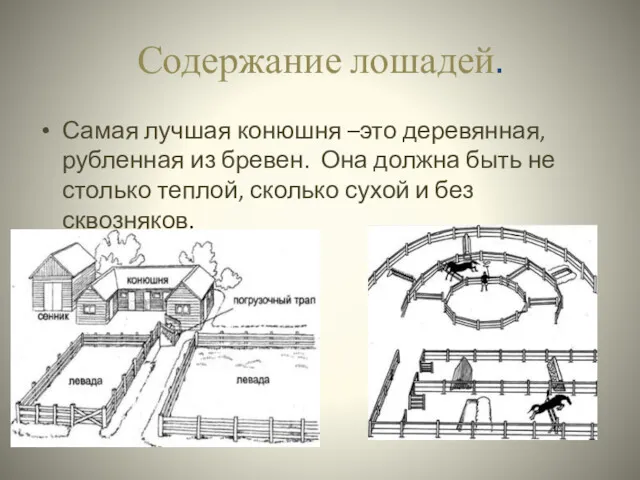 Содержание лошадей. Самая лучшая конюшня –это деревянная, рубленная из бревен.