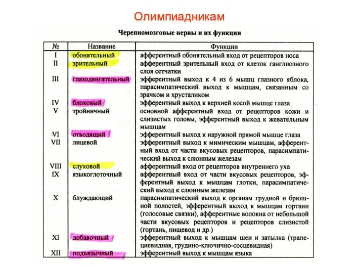 Олимпиадникам