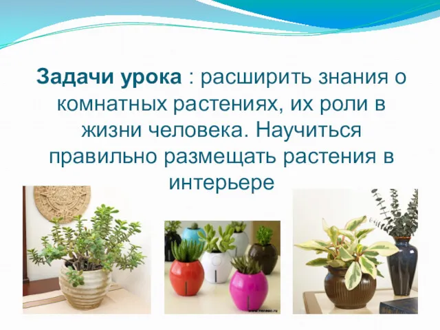 Задачи урока : расширить знания о комнатных растениях, их роли