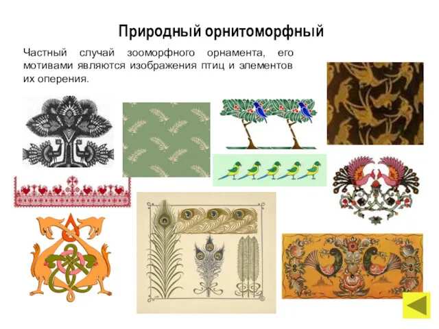 Природный орнитоморфный Частный случай зооморфного орнамента, его мотивами являются изображения птиц и элементов их оперения.