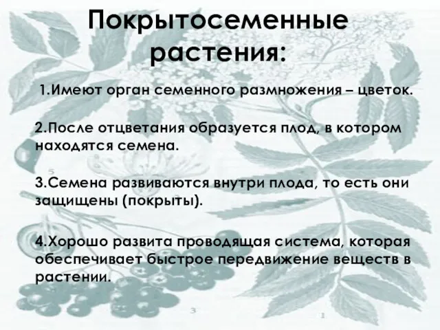 Покрытосеменные растения: 1.Имеют орган семенного размножения – цветок. 2.После отцветания