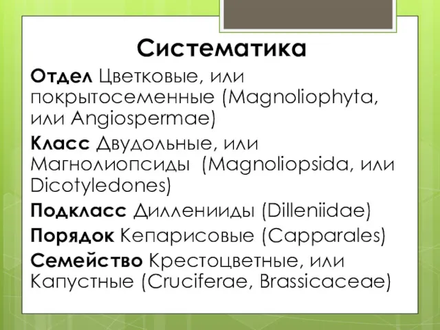 Систематика Отдел Цветковые, или покрытосеменные (Magnoliophyta, или Angiospermae) Класс Двудольные,