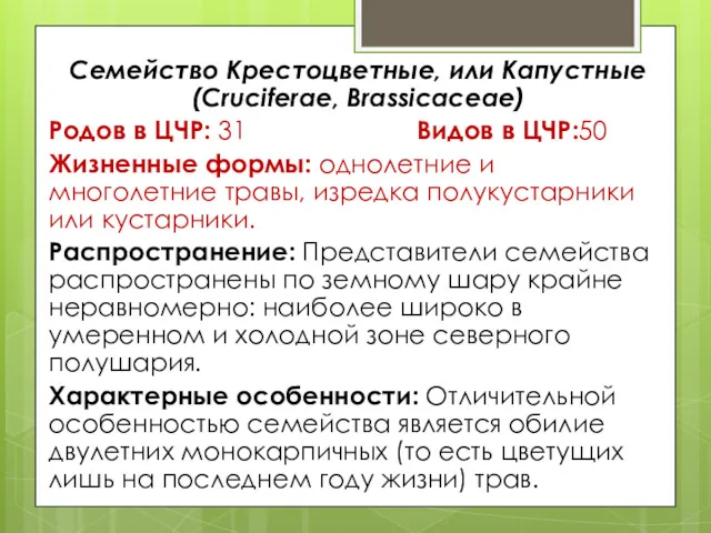 Семейство Крестоцветные, или Капустные (Cruciferae, Brassicaceae) Родов в ЦЧР: 31