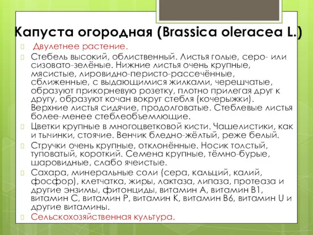 Капуста огородная (Brassica oleracea L.) Двулетнее растение. Стебель высокий, облиственный.