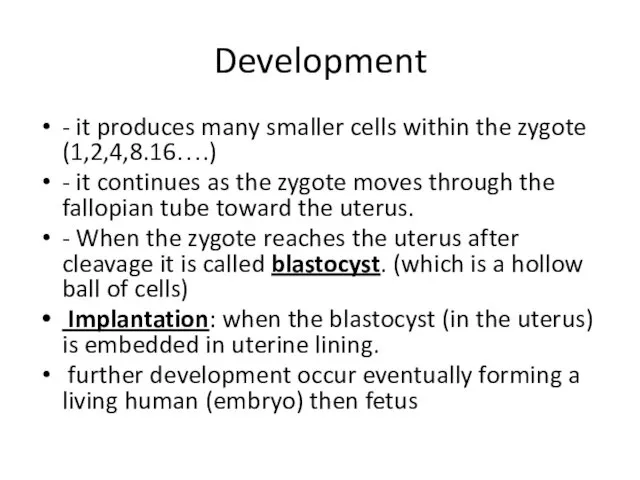 Development - it produces many smaller cells within the zygote