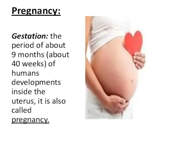 Pregnancy: Gestation: the period of about 9 months (about 40