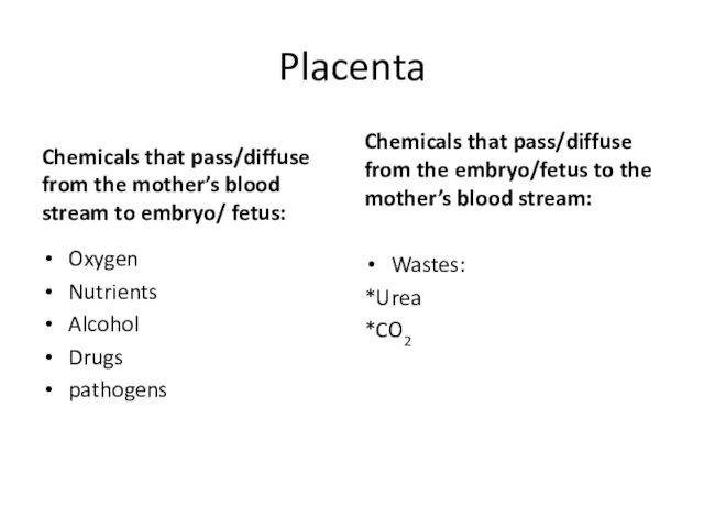 Placenta Chemicals that pass/diffuse from the mother’s blood stream to