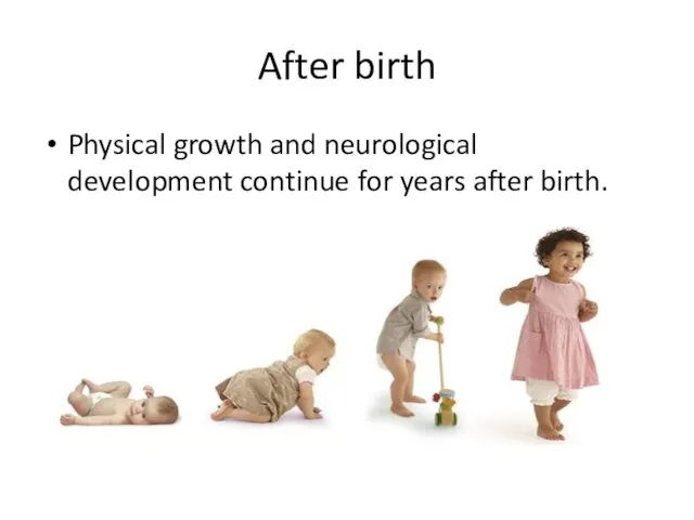 After birth Physical growth and neurological development continue for years after birth.