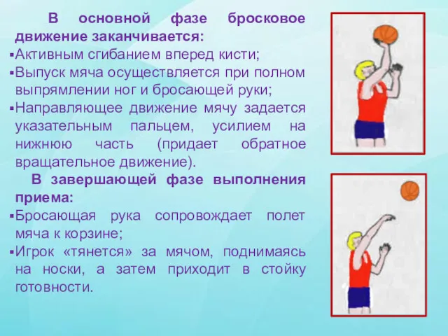 В основной фазе бросковое движение заканчивается: Активным сгибанием вперед кисти;