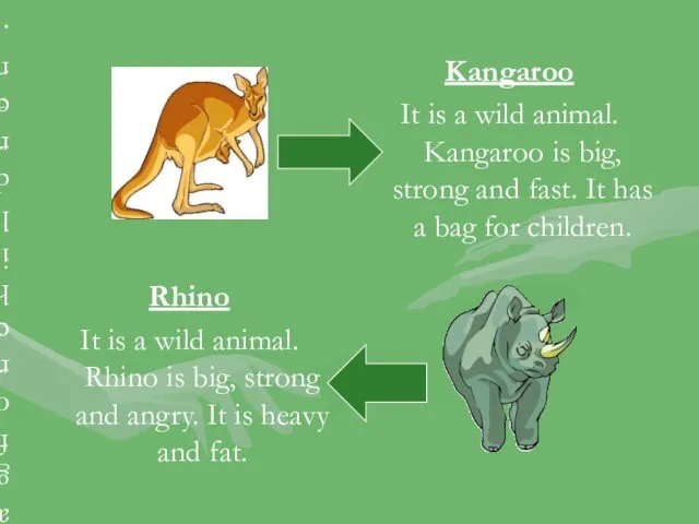 Kangaroo It is a wild animal. Kangaroo is big, strong and fast. It