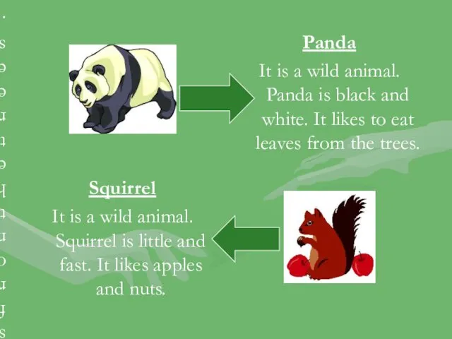 Panda It is a wild animal. Panda is black and
