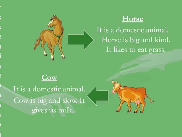 Horse It is a domestic animal. Horse is big and