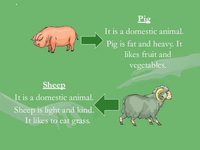 Pig It is a domestic animal. Pig is fat and heavy. It likes