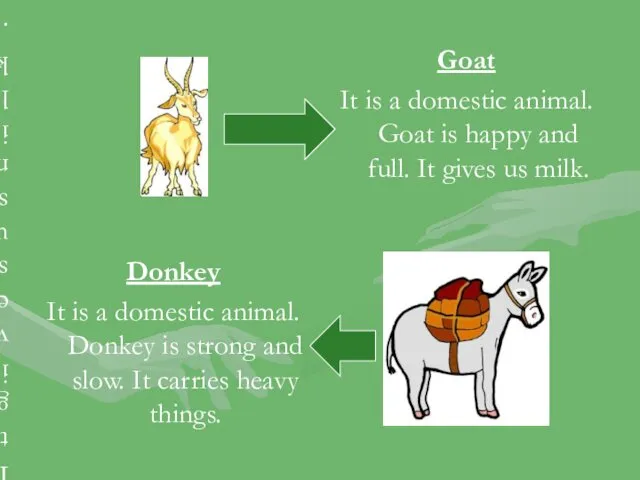 Goat It is a domestic animal. Goat is happy and