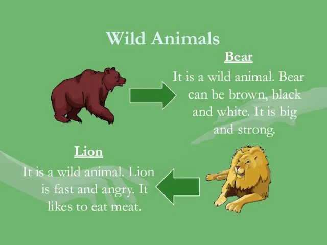 Wild Animals Bear It is a wild animal. Bear can be brown, black