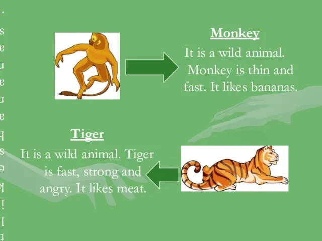 Monkey It is a wild animal. Monkey is thin and
