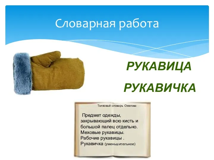 Словарная работа РУКАВИЦА РУКАВИЧКА Предмет одежды, закрывающий всю кисть и