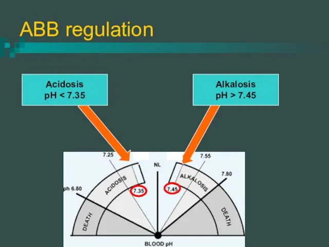 ABB regulation Acidosis pH Alkalosis pH > 7.45