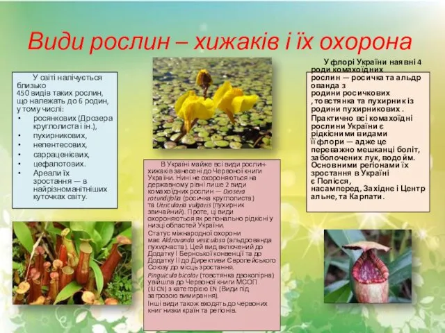 Види рослин – хижаків і їх охорона У світі налічується близько 450 видів