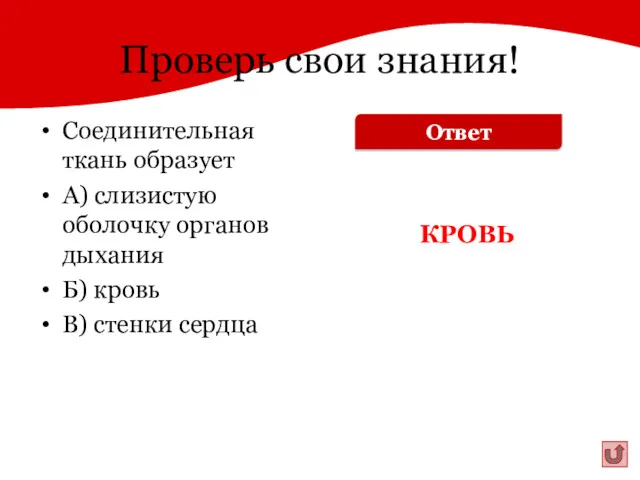 Проверь свои знания! Соединительная ткань образует А) слизистую оболочку органов