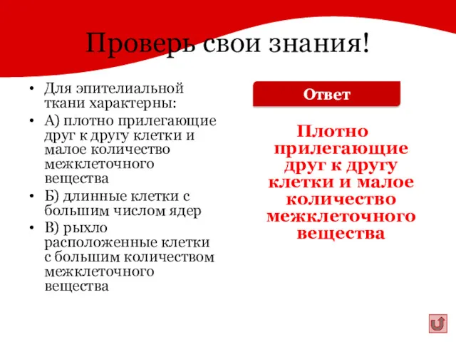 Проверь свои знания! Для эпителиальной ткани характерны: А) плотно прилегающие