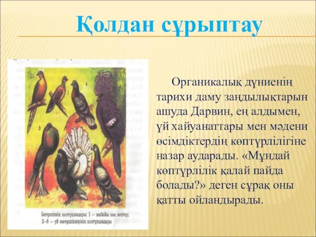 Органикалық дүниенің тарихи даму заңдылықтарын ашуда Дарвин, ең алдымен, үй