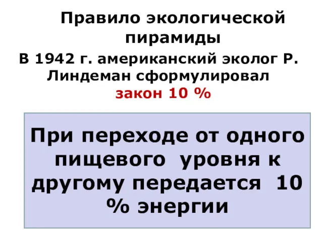 Правило экологической пирамиды В 1942 г. американский эколог Р. Линдеман