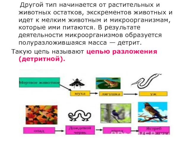 Другой тип начинается от растительных и животных остатков, экскрементов животных