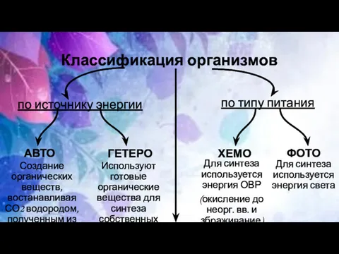 Классификация организмов по источнику энергии по типу питания ГЕТЕРО ФОТО