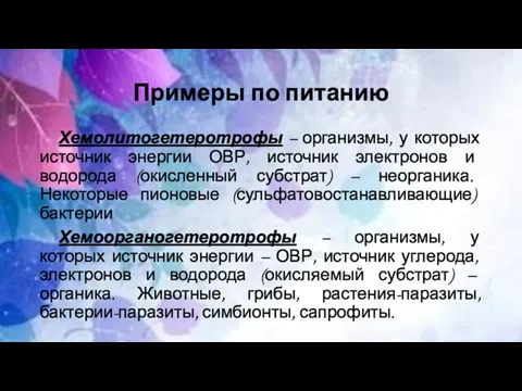 Примеры по питанию Хемолитогетеротрофы – организмы, у которых источник энергии