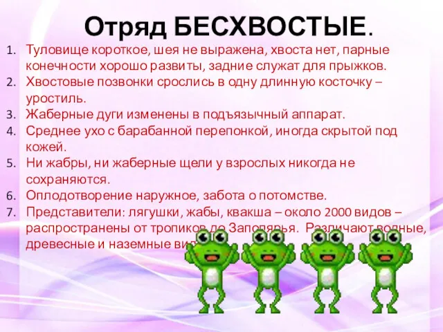 Отряд БЕСХВОСТЫЕ. Туловище короткое, шея не выражена, хвоста нет, парные