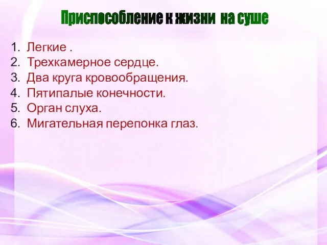 Легкие . Трехкамерное сердце. Два круга кровообращения. Пятипалые конечности. Орган