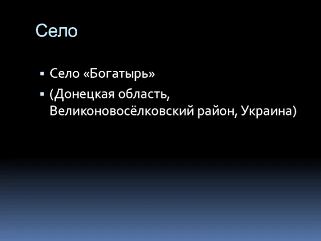 Село Село «Богатырь» (Донецкая область, Великоновосёлковский район, Украина)