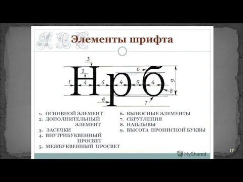 2. Основные элементы букв. Лекция №2. Шрифты