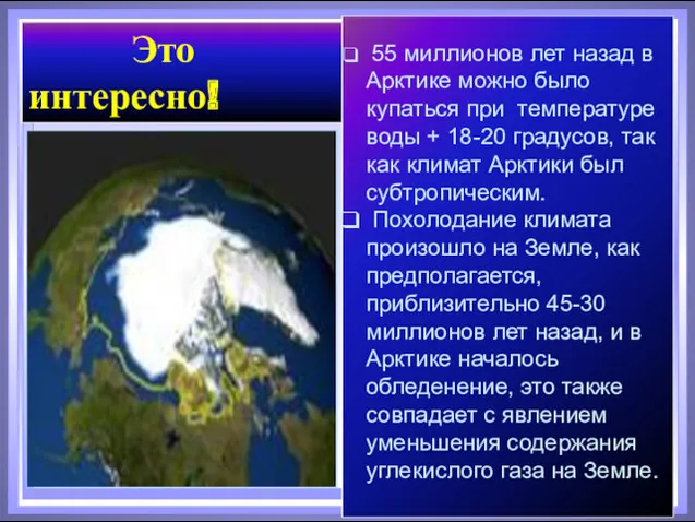 55 миллионов лет назад в Арктике можно было купаться при