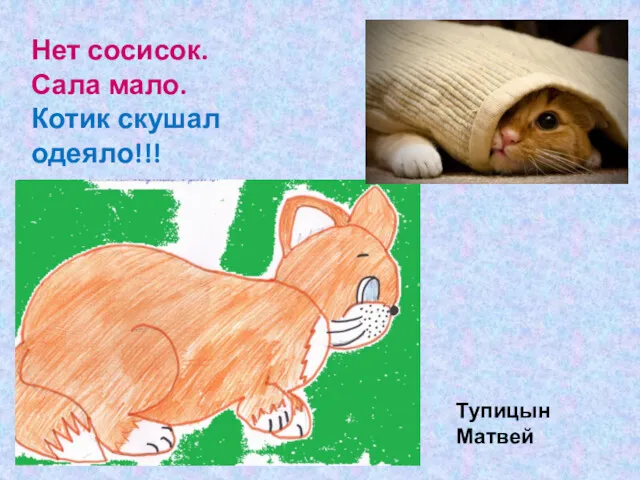 Нет сосисок. Сала мало. Котик скушал одеяло!!! Тупицын Матвей