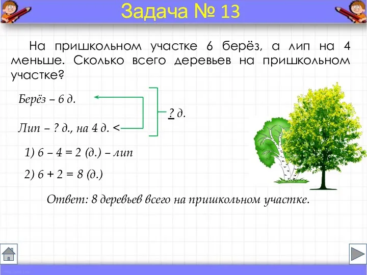 На пришкольном участке 6 берёз, а лип на 4 меньше.