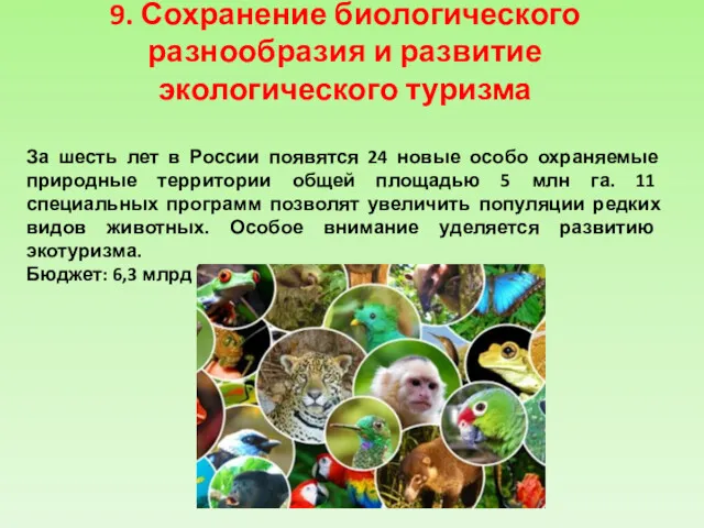 9. Сохранение биологического разнообразия и развитие экологического туризма За шесть лет в России