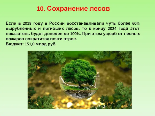 10. Сохранение лесов Если в 2018 году в России восстанавливали чуть более 60%
