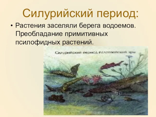 Силурийский период: Растения заселяли берега водоемов. Преобладание примитивных псилофидных растений.