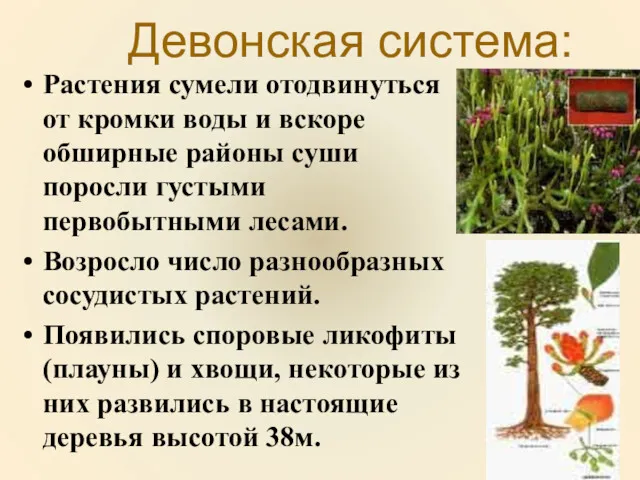 Девонская система: Растения сумели отодвинуться от кромки воды и вскоре