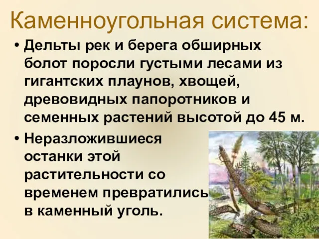 Каменноугольная система: Дельты рек и берега обширных болот поросли густыми