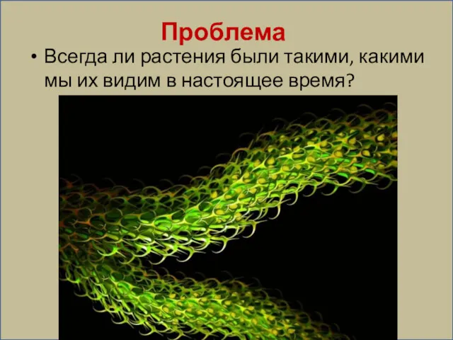 Проблема Всегда ли растения были такими, какими мы их видим в настоящее время?