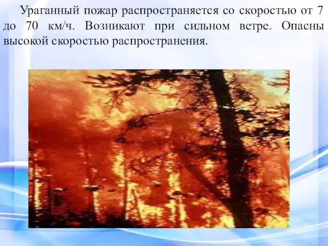 Ураганный пожар распространяется со скоростью от 7 до 70 км/ч.