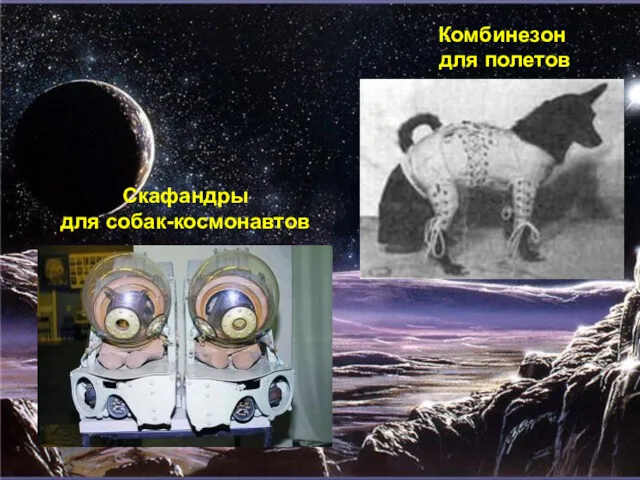 Скафандры для собак-космонавтов Комбинезон для полетов
