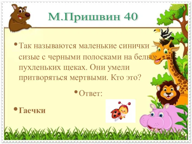 М.Пришвин 40 Так называются маленькие синички – сизые с черными