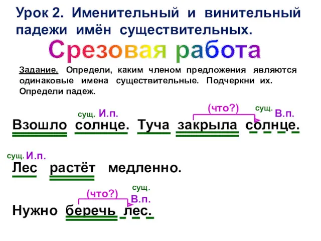 Урок 2. Именительный и винительный падежи имён существительных. Срезовая работа